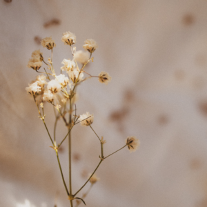 1-on-1 Coaching & Support Session