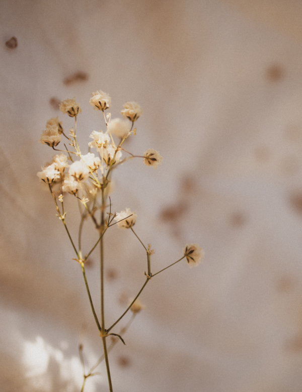 1-on-1 Coaching & Support Session